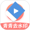 青青去水印v1.2多平台批量解析，图集视频混合解析-蕾格格部落-蕾格格下载站
